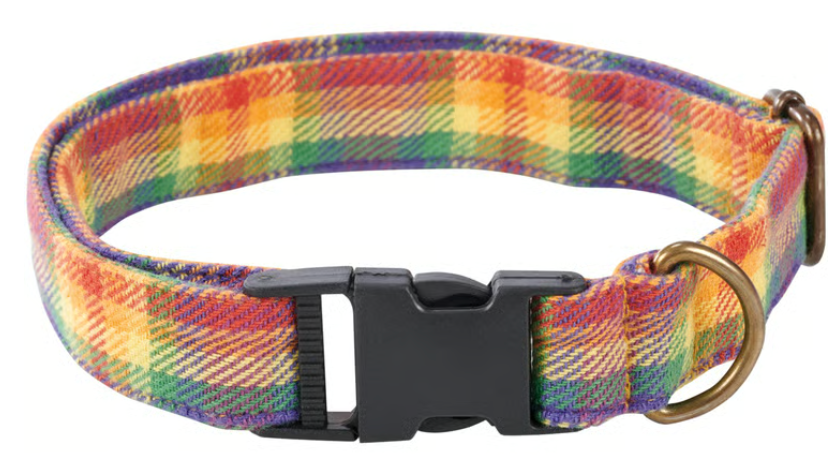 Dog Collar and Leash