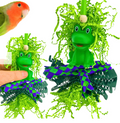 Luck Frog Bird Toy