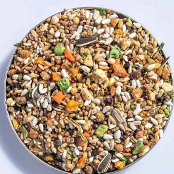 Natures Garden Conure 3 lbs