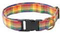 Dog Collar - Rainbow Plaid