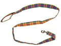 Dog Leash - Rainbow Plaid