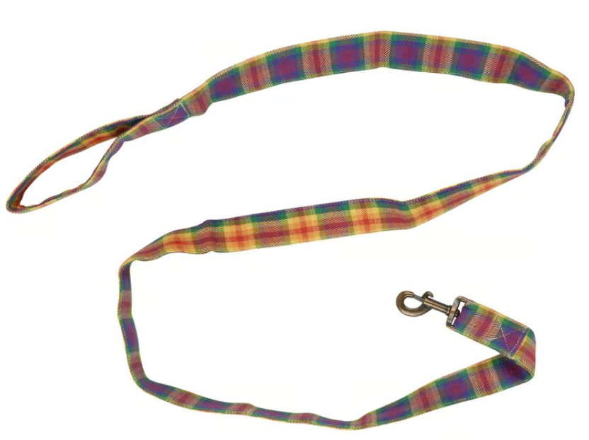 Dog Leash - Rainbow Plaid