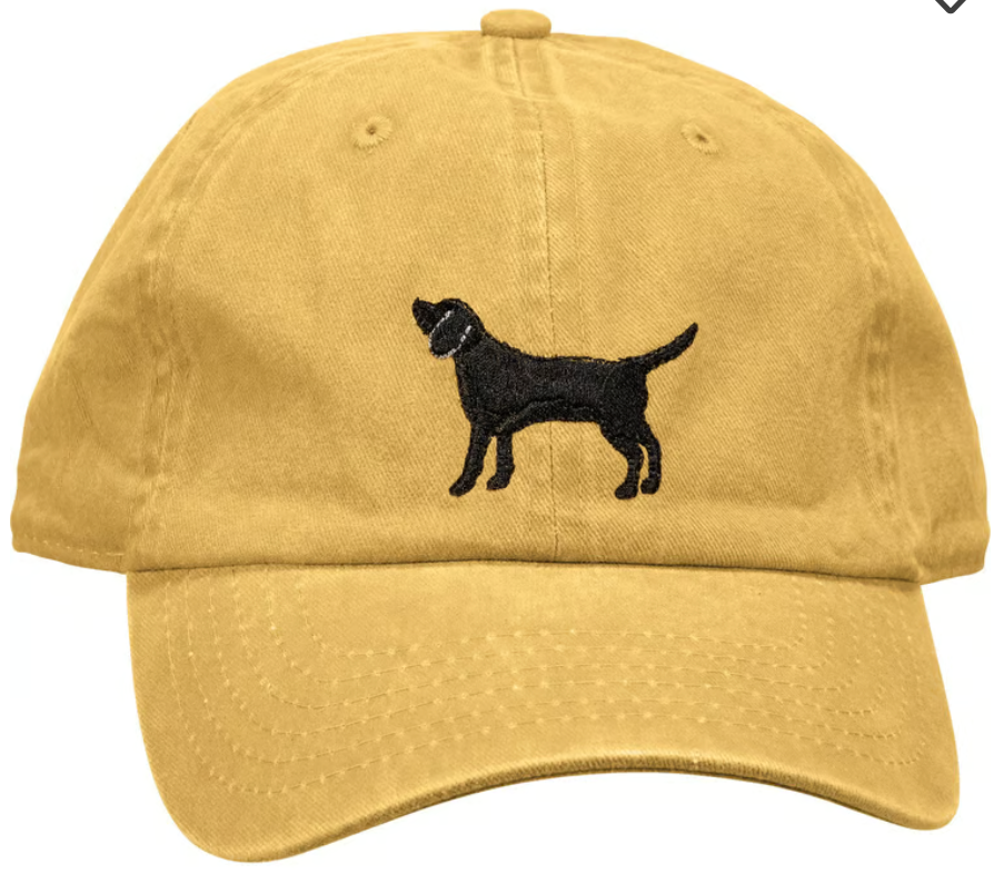 Baseball Cap - Lab