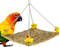 Ducky Platform Bird Toy