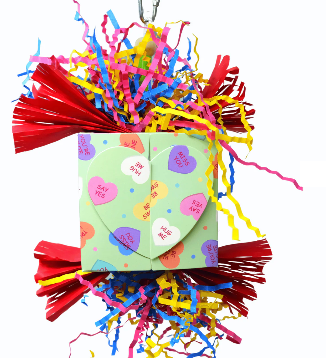 Heart Box Bird Toy