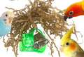 Lucky Mug Bird Toy